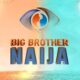 Meet the 28 housemates of 'Big Brother Naija Season 9: No Lose Guard' Season 9!  