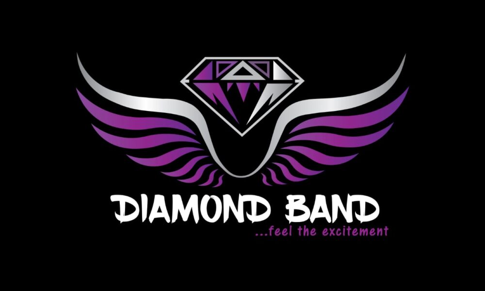 Diamond Carnival Band Rolls Out Fit Frenzy 2.0-parliamentvanguard.com