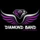 Diamond Carnival Band Rolls Out Fit Frenzy 2.0-parliamentvanguard.com