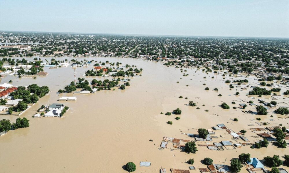 Prison Breaks In Maiduguri Amid Severe Flooding-parliamentvanguard.com