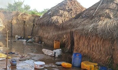 Boko Haram Suffers Heavy Loses As Flood Hit Sambisa Forest, Killing 100 Terrorist-parliamentvanguard.com