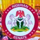 2025 Budget: Senate Hints Of Possible Approval Delay-parliamentvanguard.com