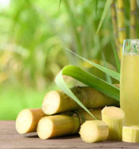 10 Health Benefits of Using Sugarcane