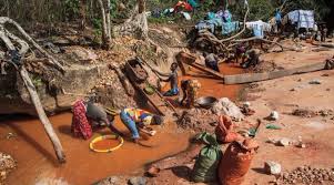 Illegal miners-parliamentvanguard.com