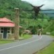 Four Seminarians Dead, Nine Injured As Tragedy Strikes Obudu Ranch Resort